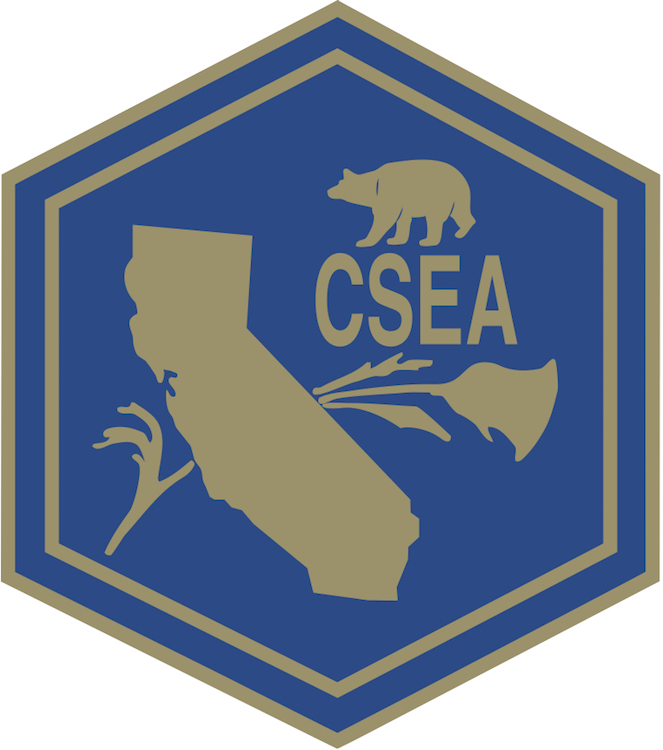 csea.jpg