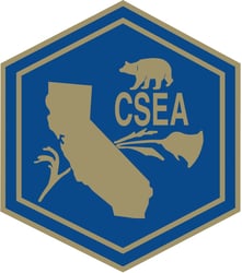 csea